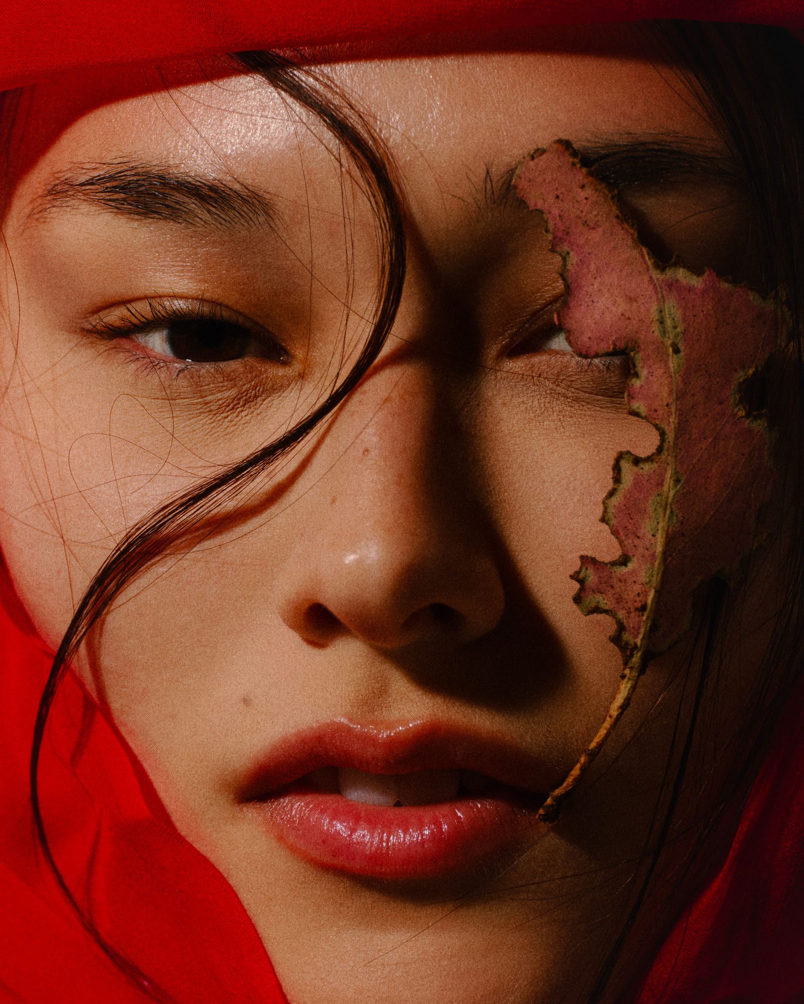 Close-cropped beauty and fashion portrait